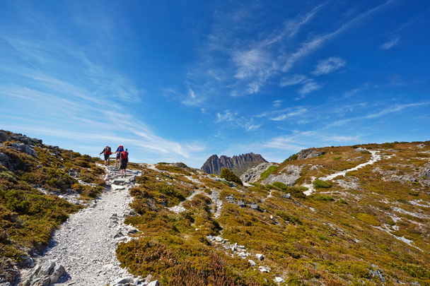 Hikers reaching the summit of a ridge with Cradle Mountain in ba - Фото, зображення