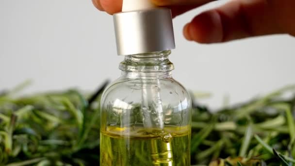 Gotejamento de óleo de alecrim fresco em garrafa, close-up
 - Filmagem, Vídeo