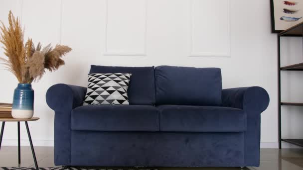 Stylish sofa with table and rack in interior of living room - Footage, Video