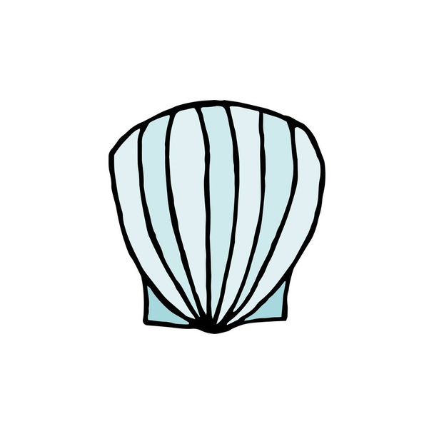 Синяя морская раковина, нарисованная вручную лайнером, изолированным на белом фоне. Морской сувенир из путешествия, отдыха. Морской ад, морская раковина, природные гребешки океан водный подводный. Дизайн для Интернета, для футболки - Вектор,изображение