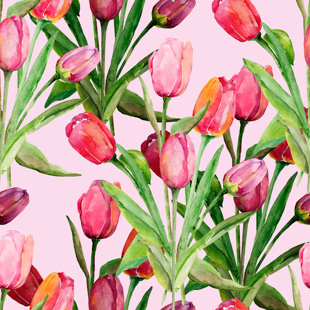 Bouquet of tulips. Seamless pattern. Image on a white and colored background. - Foto, imagen