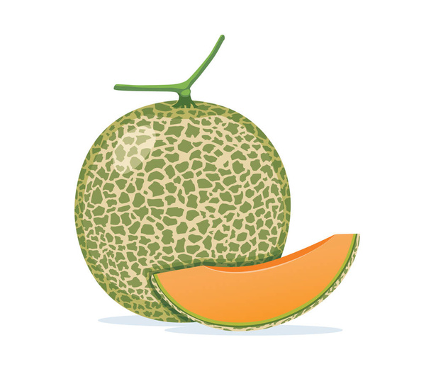 Japanilainen meloni tai meloni ja viipale eristetty valkoisella pohjalla. - Vektori, kuva