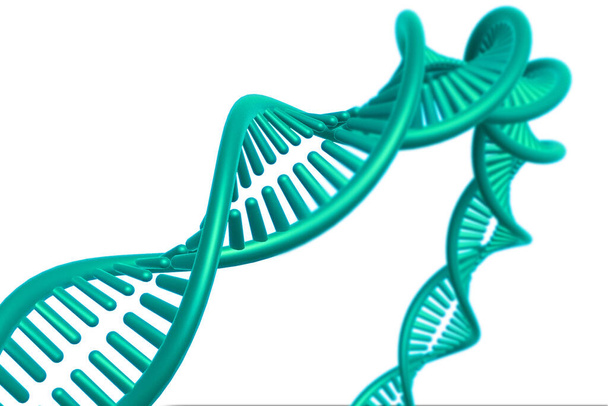 DNA-Struktur auf weißem Hintergrund. - Foto, Bild