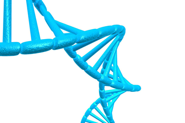 白い背景のDNA構造。 3Dレンダリング - 写真・画像