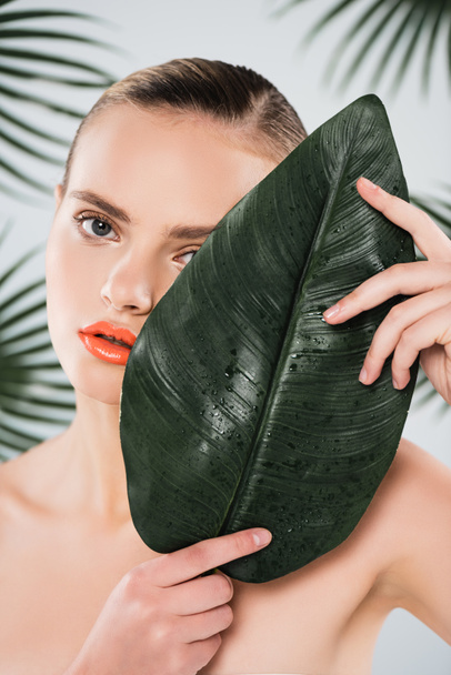 naked woman with makeup looking at camera and covering face with green leaf on white  - Foto, Imagem