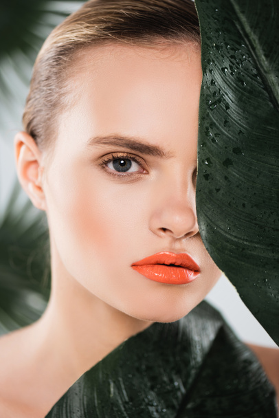beautiful girl with makeup looking at camera near green and wet leaf on white  - Fotoğraf, Görsel