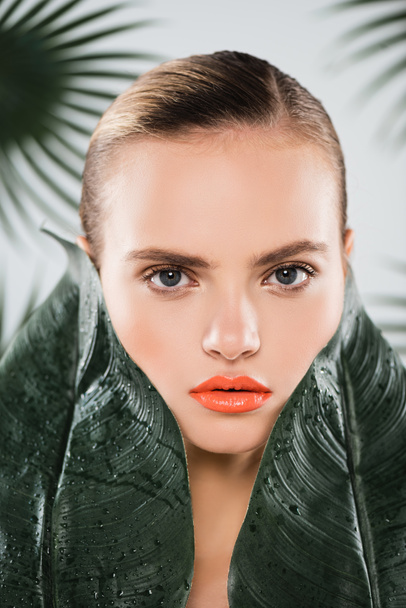 beautiful girl with makeup looking at camera near green and wet leaves on white  - Foto, afbeelding