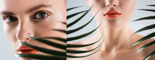 kolaż atrakcyjnej kobiety z makijażem patrząc na aparat w pobliżu liści palmy na białym  - Zdjęcie, obraz