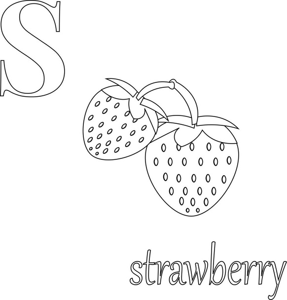 fruit and vegetable alphabet coloring book illustration - Photo, Image
