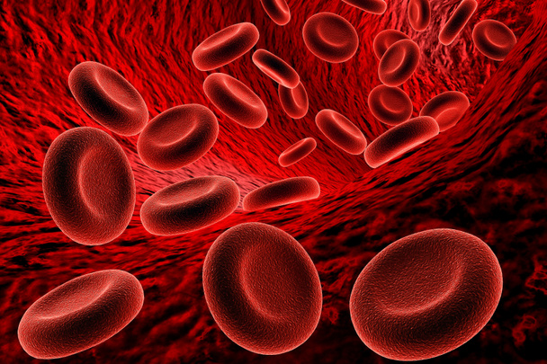 Blood cells on white background - Photo, Image