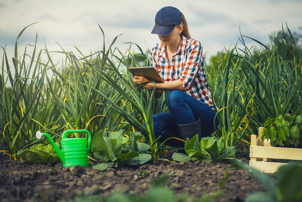 Woman agronomist checks garlic growth rates on an eco farm. - Fotoğraf, Görsel