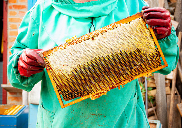 Arı yetiştiricisi arılarla ve arı kovanlarıyla çalışıyor.. - Fotoğraf, Görsel