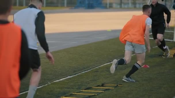 Jalkapalloseuran pelaajat harjoittelevat ja tekevät harjoituksia nopeilla tikkailla jalkapalloporttien vieressä. Lähemmäs. Malli Realesed - Materiaali, video