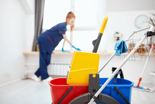 Cleaning set for different surfaces in kitchen, bathroom and other rooms. - 写真・画像