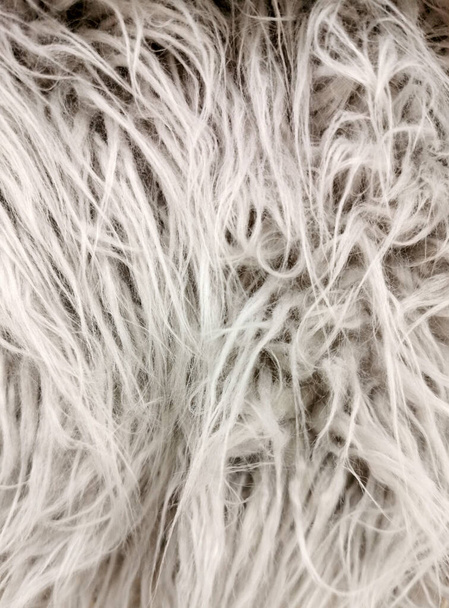 fausse fourrure blanche à poils longs pour le fond, - Photo, image