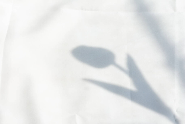 Tulip flower shadow overlay on white fabric background. - Photo, Image