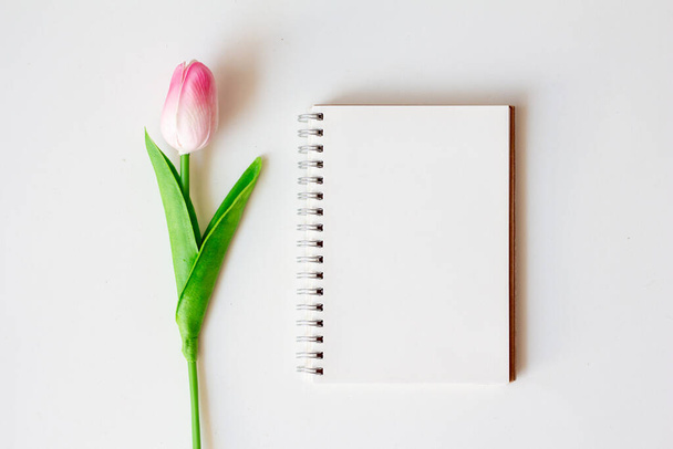 Blank notebook with tulip flower and gift box on white background, Top view minimal.  - Фото, изображение