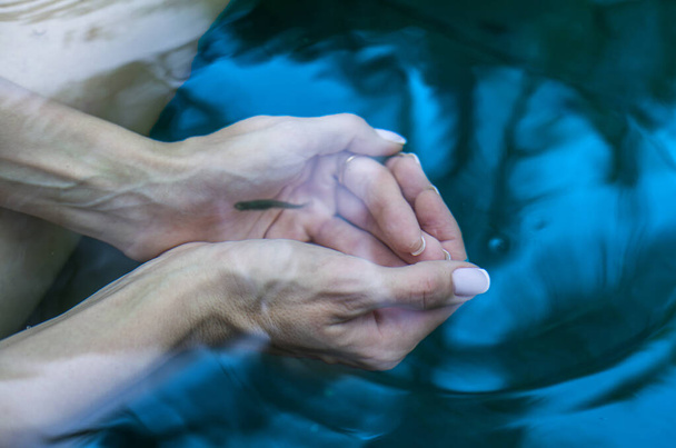 Naisen kämmenissä on kirkasta vettä. Naisen kädet on kastettu puhtaaseen kirkkaaseen siniseen veteen.  - Valokuva, kuva
