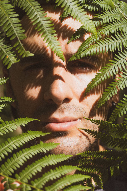 male face in frame of fern leaves - Foto, Imagem