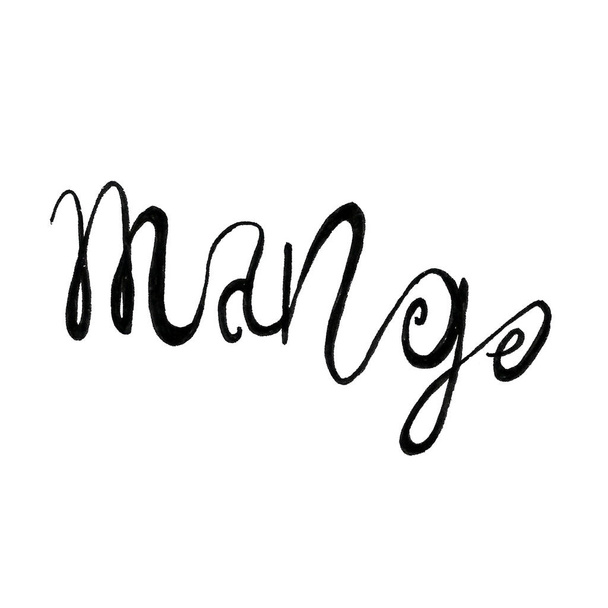 Hand drawn illustration of mango - Fotoğraf, Görsel