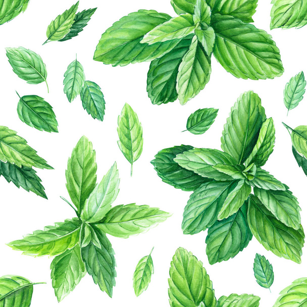 Peppermint leaves. Seamless patterns. Watercolor painting, on isolated background - Foto, imagen