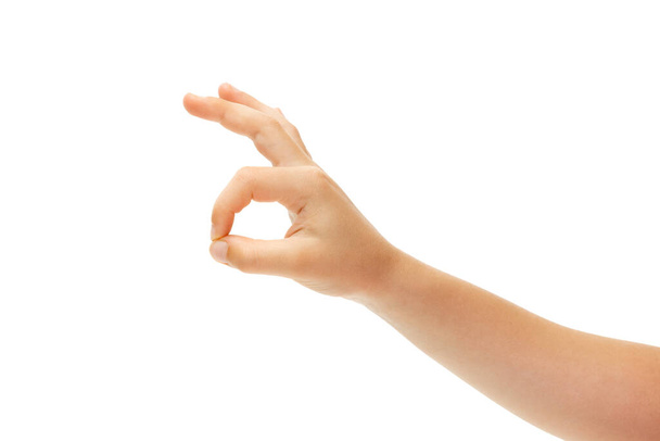 Childrens hand, palm gesturing isolated on white studio background - Φωτογραφία, εικόνα