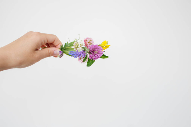 Small bouquet of miniature wildflowers in hand on white background, copyspace for summer and wedding design. Boutonniere from clover and mouse pease - Foto, Imagem