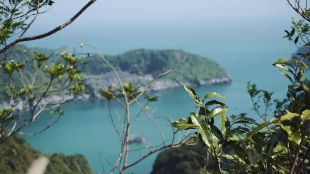 De prachtige natuur. Zee, bos. Vietnam, Azië - Video