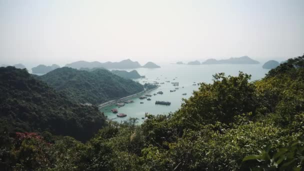De prachtige natuur. Zee, bos. Vietnam, Azië - Video