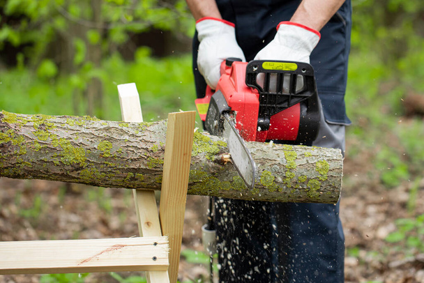 Trabajador forestal en seguridad protectora sierras de trabajo tronco de árbol con la motosierra
. - Foto, Imagen