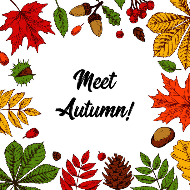 Met de hand getekende herfst vierkante banner met de hand getrokken bladeren, bessen, eikels geïsoleerd op wit. Ruimte voor tekst. Vector illustratie in schets stijl. Ontmoet herfstbelettering. - Vector, afbeelding