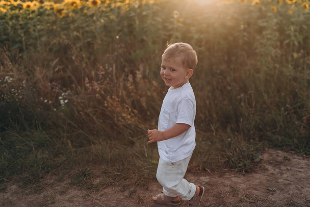 Маленький милый мальчик ходит по полю подсолнухов - Фото, изображение