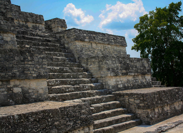 The archaeological maya site of Calakmul covers an area of approximately 2 square kilometres (0.77 sq mi), an area that contains the remains of roughly 1000 structures - Photo, Image