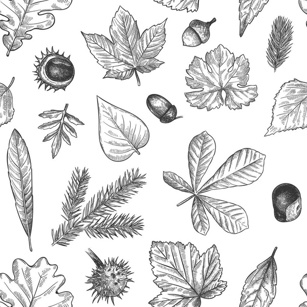Autumn leaves seamless pattern. Hand drawn fallen leaf, acorns, cones print for textile. Wallpapers, gift wrap or scrapbook vector texture - Wektor, obraz