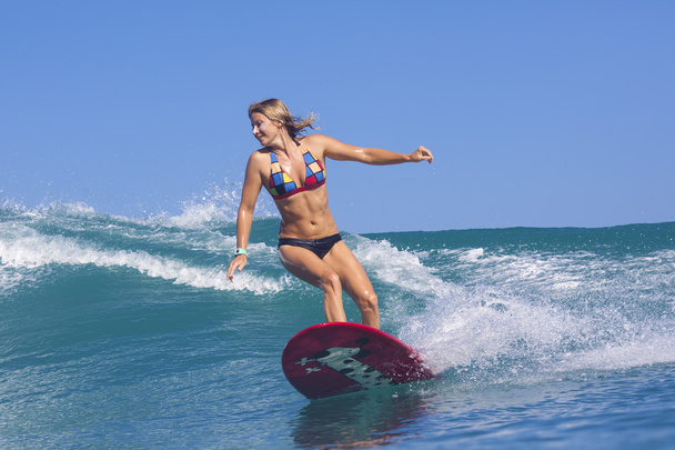 Female surfer - 写真・画像