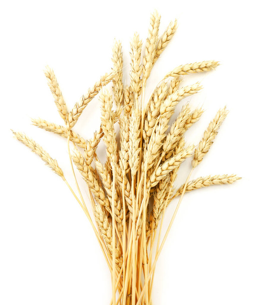 Пшеничные уши закрываются на белом фоне, изолированы. Вид сверху - Фото, изображение