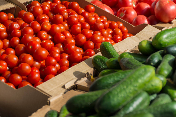 kurkut ja tomaatit laatikoissa tiskillä - Valokuva, kuva