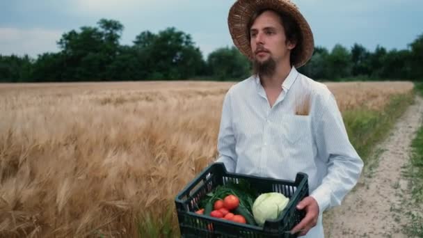 A bearded, brutal 30-year-old farmer with a hat walks in a field and carries a box of crops with cucumbers, tomatoes, cabbage and greens. Environmentally friendly product - Video
