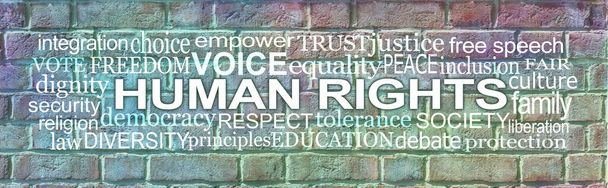 İnsan Hakları Tuğlası Duvar Kelimesi Bulutu ile ilişkilendirilen kelimeler - rusitc grunge çok renkli tuğla duvar arkaplanı ve İnsan Hakları Kelime Bulutu  - Fotoğraf, Görsel