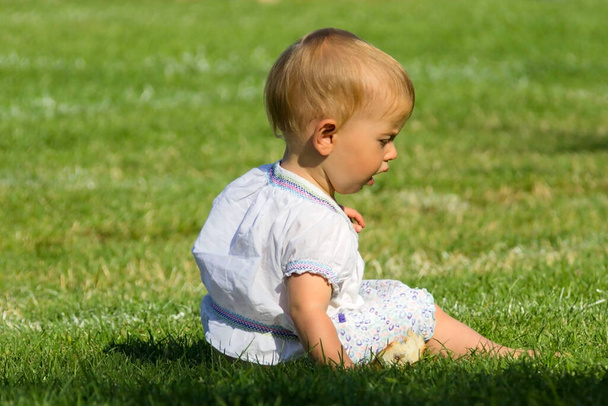 Little girl sitting on the grass - Foto, afbeelding