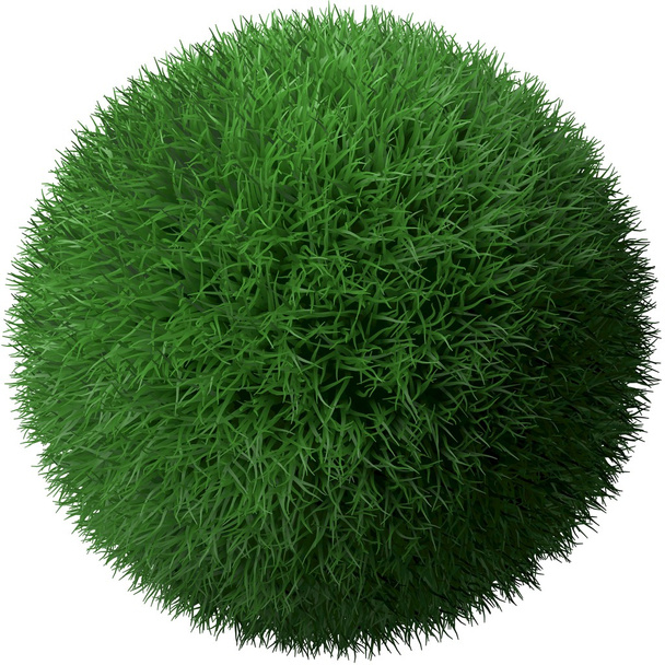 Grass - Photo, Image