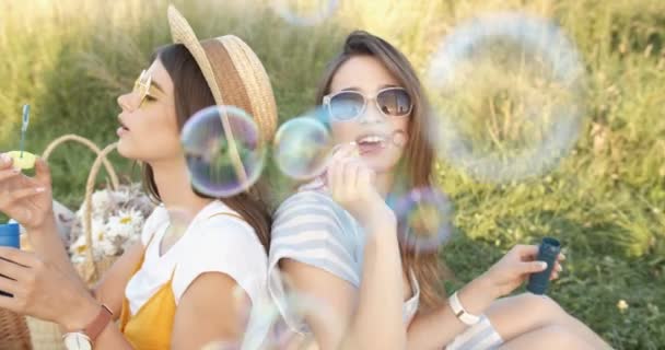 Portrét docela radostných mladých dívek, nejlepších přátel v klobouku a slunečních brýlích, sedících v létě zády k sobě na přikrývce na zelené trávě s košíkem a foukajícími mýdlovými bublinami. Krásné feny na pikniku. - Záběry, video