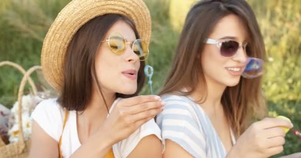 Close-up van mooie vrolijke meisjes, beste vrienden in hoed ad zonnebril leunen rug aan rug op groen gras in de zomer met mand en blazen zeepbellen. Mooie vrouwen spelen, plezier hebben op de picknick. - Video