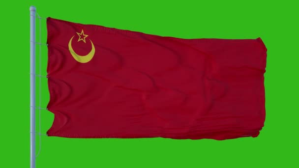 Union der Islamischen Sowjetrepubliken Flagge weht im Wind vor grünem Hintergrund - Filmmaterial, Video