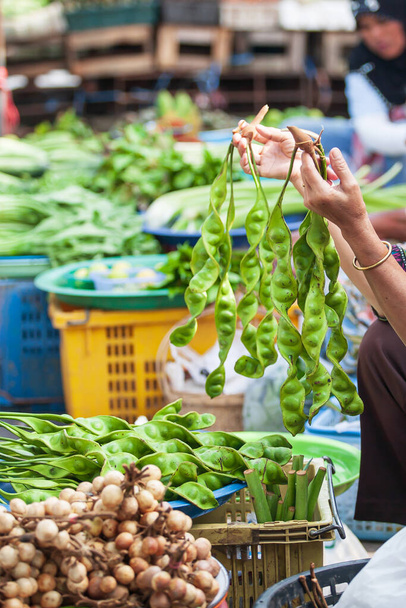 Blízké ruce asijské starší žena prodejce prodávat čerstvé hořké fazole nebo Parkia specialosa na mokrém trhu v Phang Nga, Jižní Thajsko. - Fotografie, Obrázek