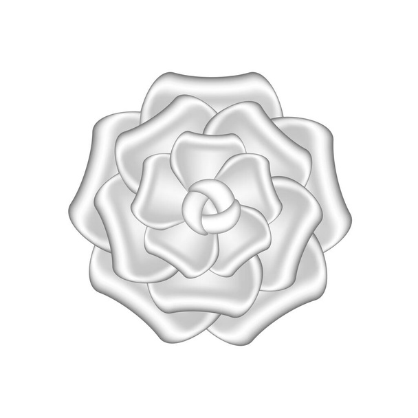 квіти троянди срібні прикраси ізольовані на білому тлі, розкішний квітковий пелюсток сріблястий простий, срібні квіти об'єкт металева скульптура, ілюстрація делюкс срібна квітка, кліпарт розкішні квіти
 - Вектор, зображення