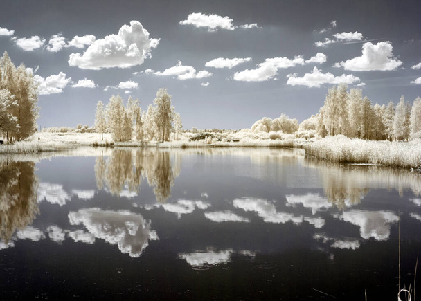 paysage d'été ensoleillé, photo infrarouge arbre neigeux étonnante nature lac réflexion, vue surréaliste insolite, photographie infrarouge - Photo, image