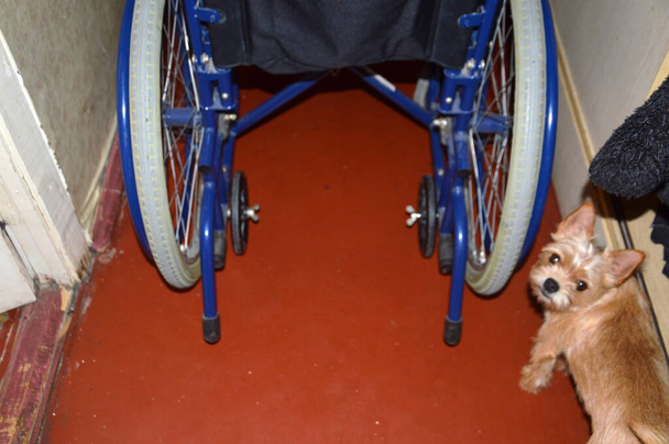 Wózek inwalidzki w różnych pozycjach i szczegóły - Zdjęcie, obraz