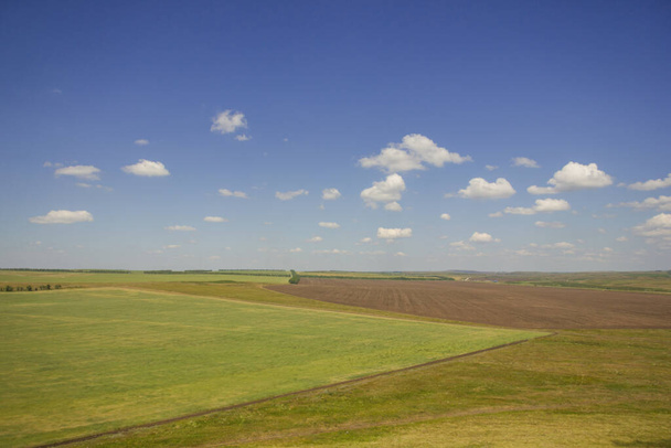 Steppe in the summer. A beautiful bottom view of the sandy steppe hills covered with green grass and wildflowers against the backdrop of a clear blue sky. Arkaim reserve. - Zdjęcie, obraz