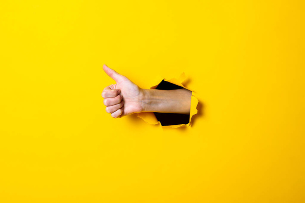 Male hand showing thumb up gesture, everything is ok, class on yellow background - Valokuva, kuva